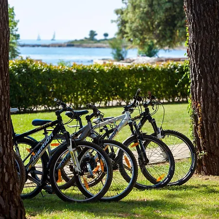 Aurora Plava Laguna Hotel 4*