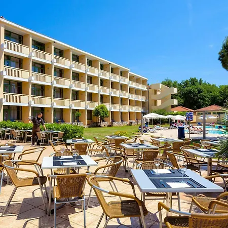 Aurora Plava Laguna Hotel 4*