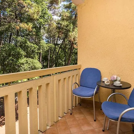 Ξενοδοχείο Aurora Plava Laguna 4*