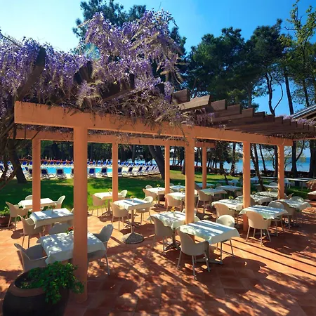 فندق Aurora Plava Laguna 4*