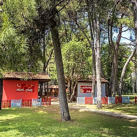 Hotel Aurora Plava Laguna 4*