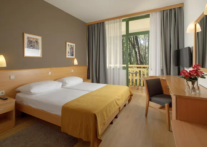 Отель Aurora Plava Laguna