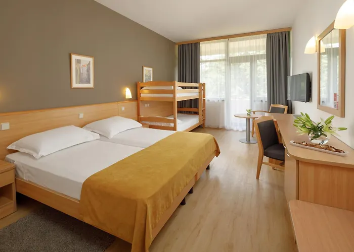 Отель Aurora Plava Laguna