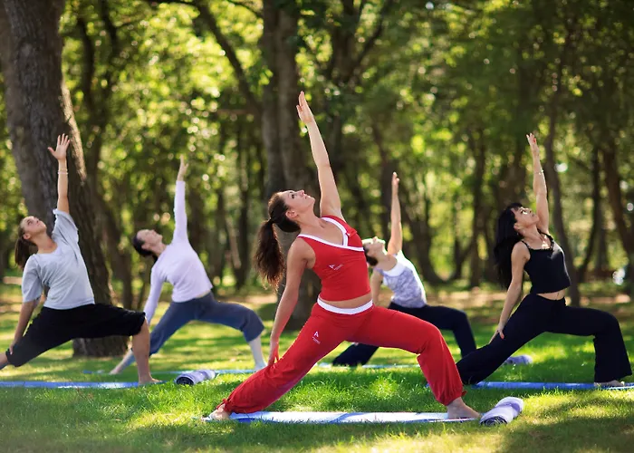 Aurora Plava Laguna Отель 4*