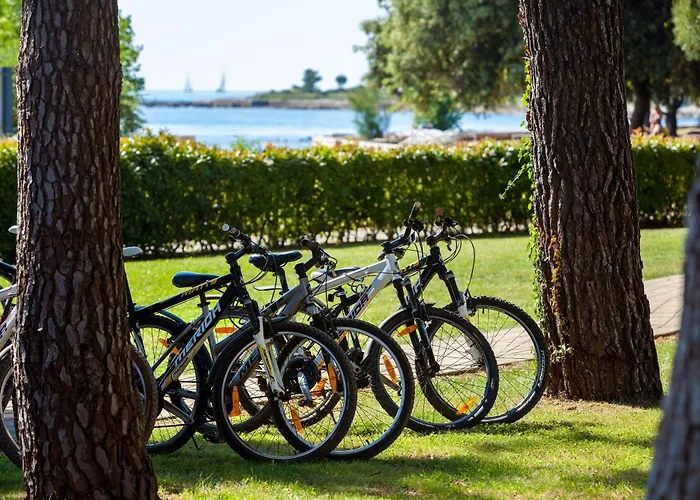 Aurora Plava Laguna Отель 4*