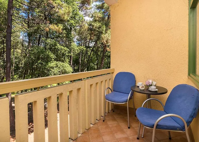 Отель Aurora Plava Laguna 4*